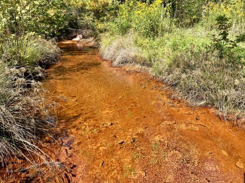 More than a thousand streams in eastern Ohio, including Sunday Creek in Millfield, are polluted by acid mine drainage.