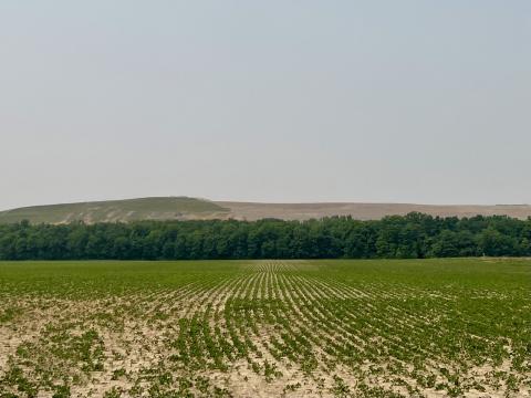 Sunny Farms Landfill is easy to spot among Fostoria's flat farmland. 