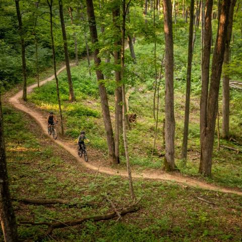 The Baileys Trail System is a newly developed mountain bike trail through a section of the Wayne National Forest. The Outdoor Recreation Council of Appalachia, the council of governments that constructed the trail, hopes investing in outdoor recreation will lead to regional economic development.