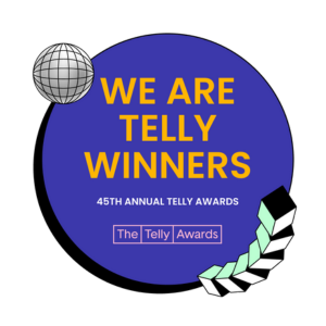 45th telly award winners wgte