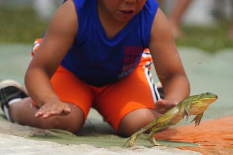 Jaxon Shelby, 6, encourages Beamer the frog to jump during the 63rd annual Valley City Frog Jump on Sunday, July 21, 2024.